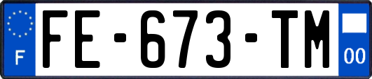 FE-673-TM