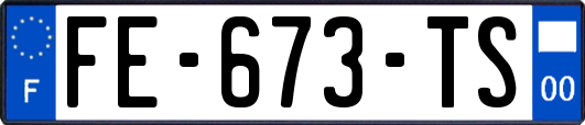 FE-673-TS