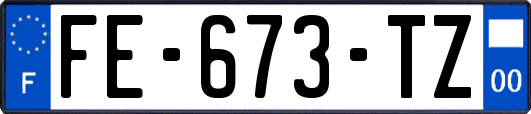 FE-673-TZ