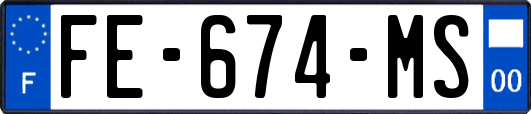 FE-674-MS