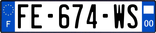 FE-674-WS