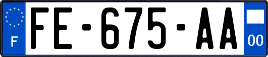 FE-675-AA