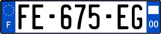 FE-675-EG