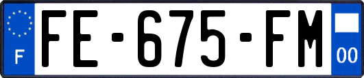 FE-675-FM