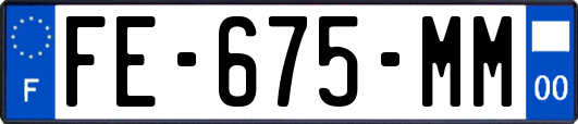 FE-675-MM