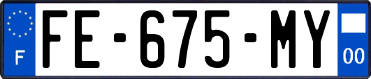 FE-675-MY