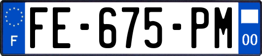 FE-675-PM