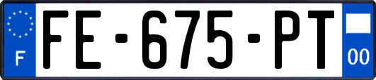 FE-675-PT