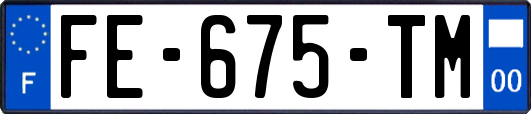 FE-675-TM