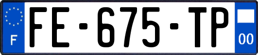 FE-675-TP