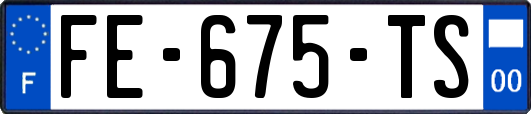 FE-675-TS