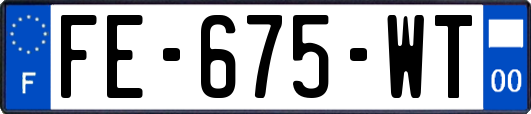 FE-675-WT