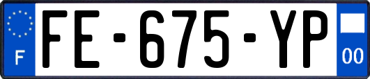 FE-675-YP