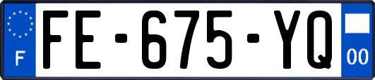 FE-675-YQ