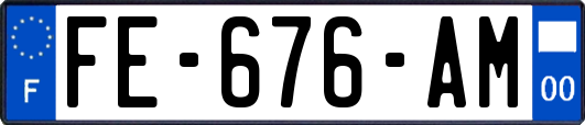 FE-676-AM