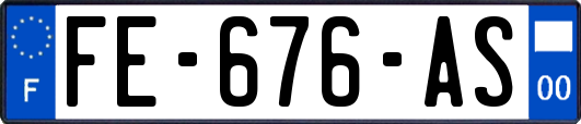FE-676-AS