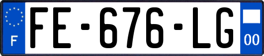 FE-676-LG