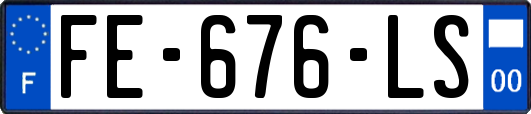 FE-676-LS