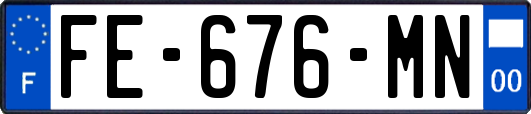 FE-676-MN