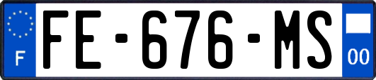 FE-676-MS