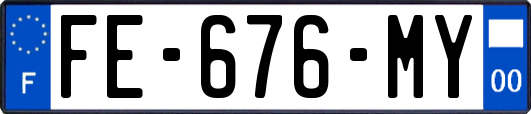 FE-676-MY