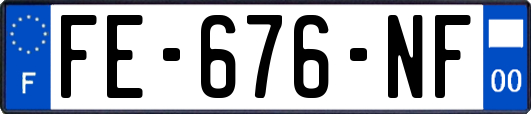 FE-676-NF