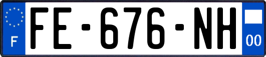 FE-676-NH
