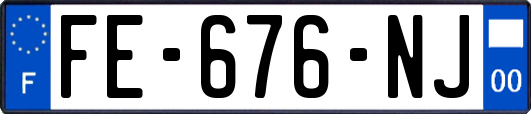 FE-676-NJ