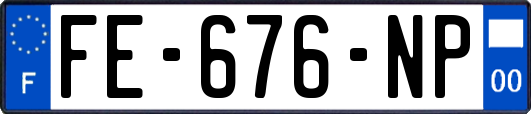 FE-676-NP