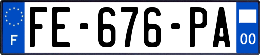 FE-676-PA