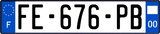 FE-676-PB