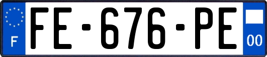 FE-676-PE