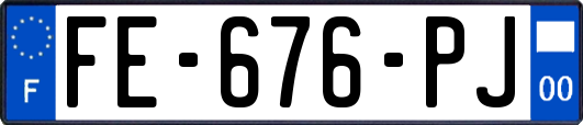 FE-676-PJ