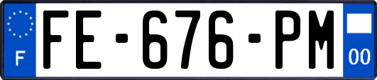 FE-676-PM