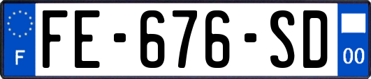 FE-676-SD
