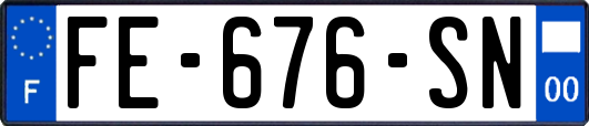 FE-676-SN