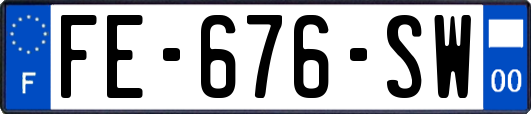 FE-676-SW