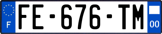 FE-676-TM