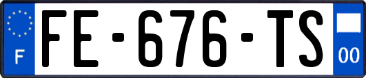 FE-676-TS