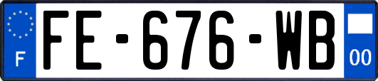 FE-676-WB