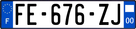 FE-676-ZJ