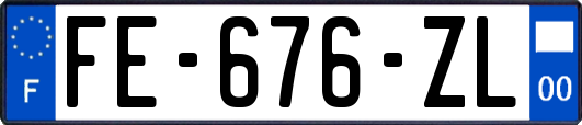 FE-676-ZL