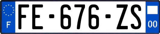 FE-676-ZS