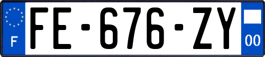 FE-676-ZY