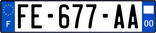 FE-677-AA