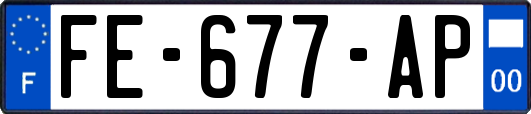 FE-677-AP