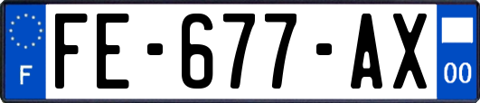 FE-677-AX