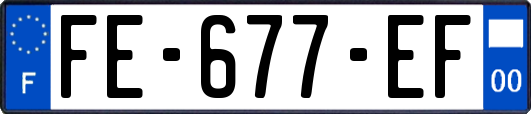 FE-677-EF