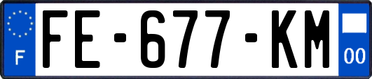 FE-677-KM