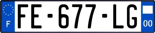 FE-677-LG